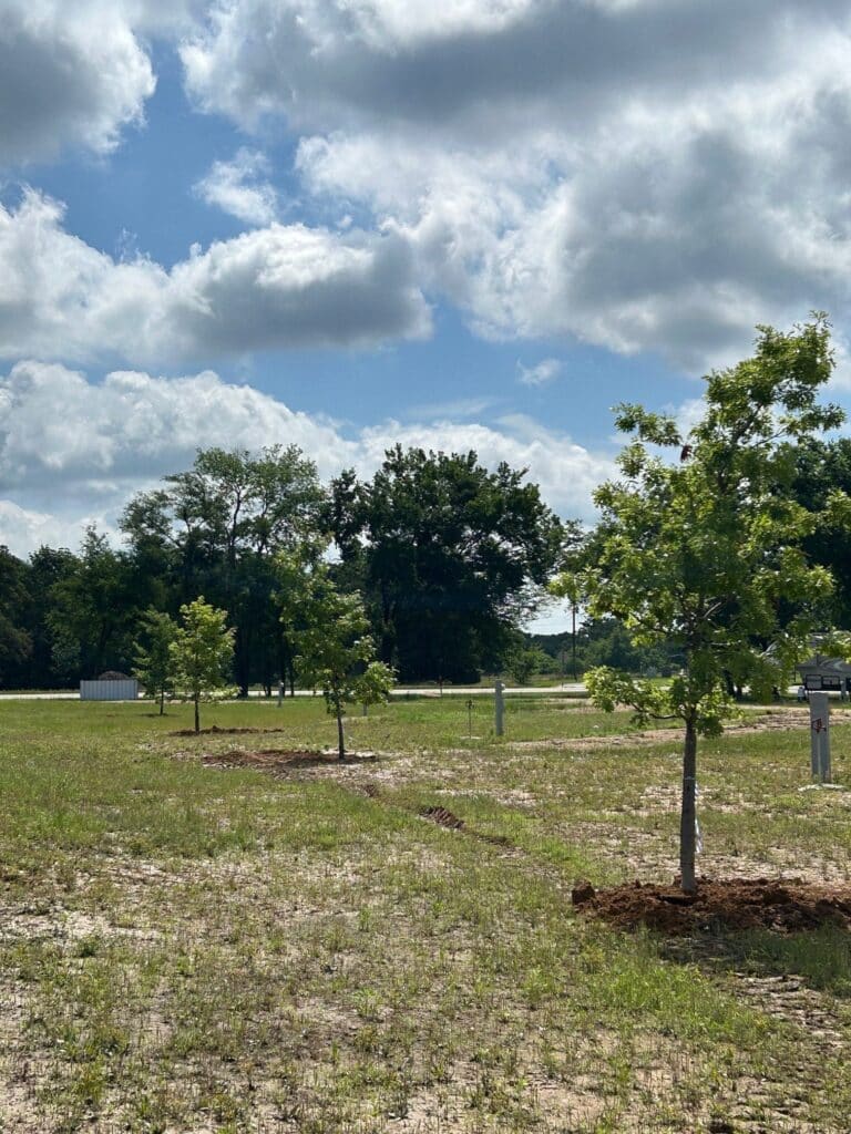 rv parks near greenville tx